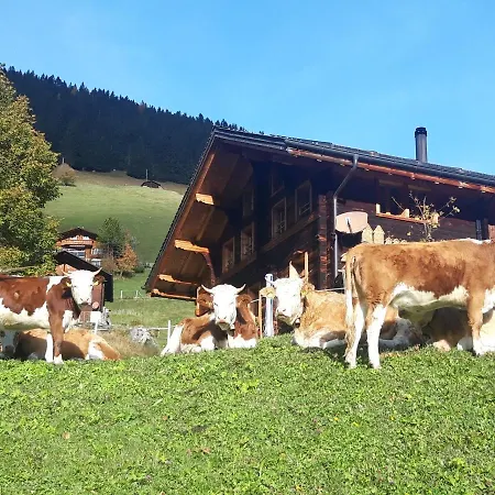 Olle And Maria's Gimmelwald